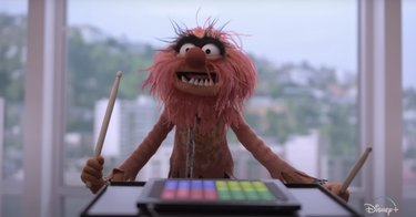 Muppets of Mayhem